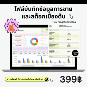 ไฟล์บันทึกข้อมูลการขายและสต็อกเบื้องต้น